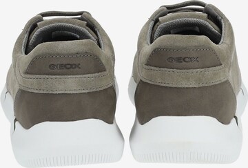 Sneaker bassa di GEOX in verde