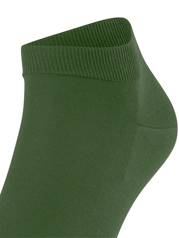 FALKE Socks 'ClimaWool' in Green