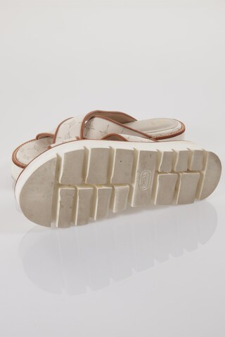 JOOP! Sandals & High-Heeled Sandals in 39 in White