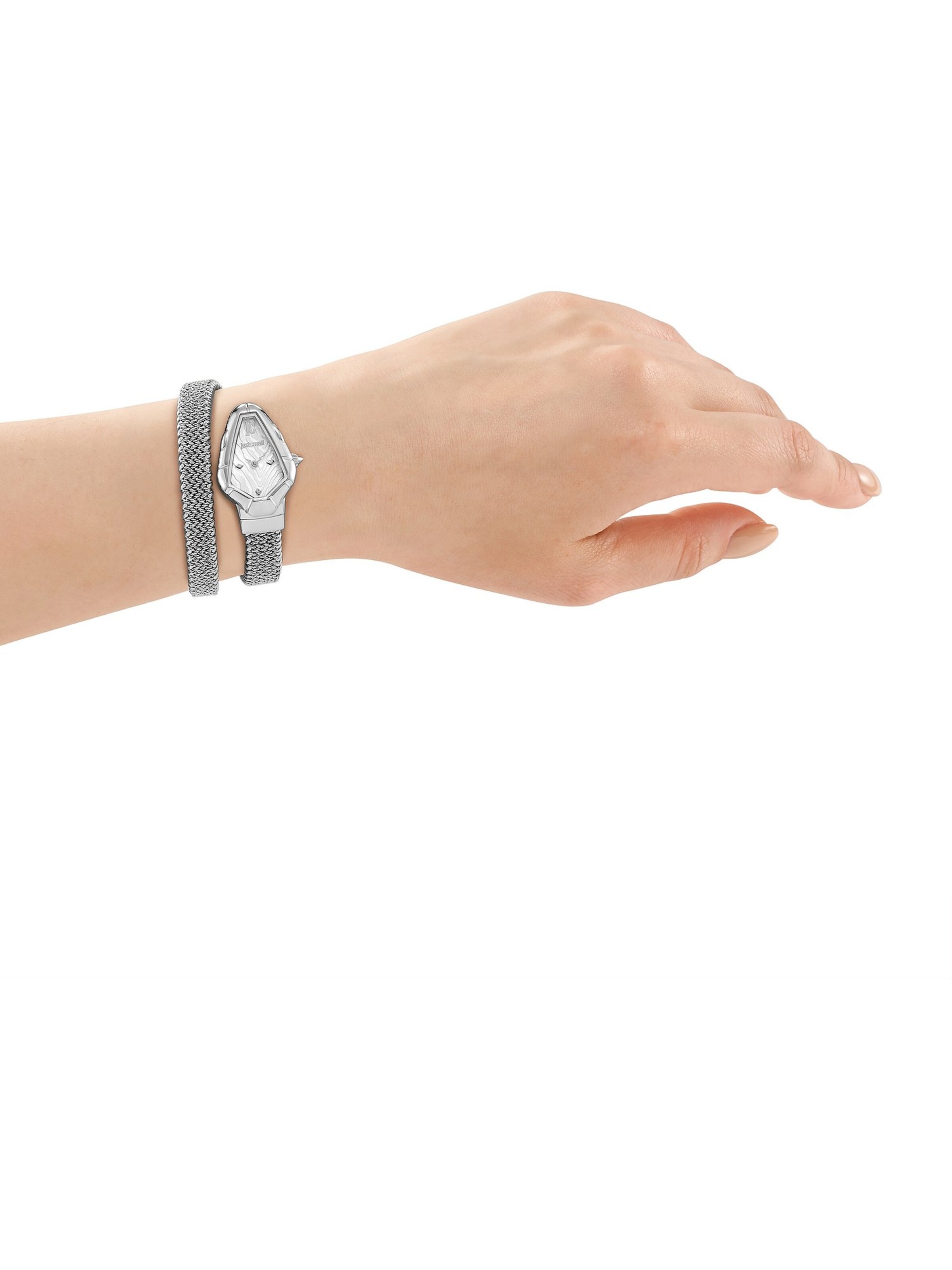 Just Cavalli Uhr in Silber: Vorderseite
