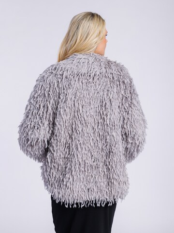 Giacca di mezza stagione di FREAKY NATION in grigio