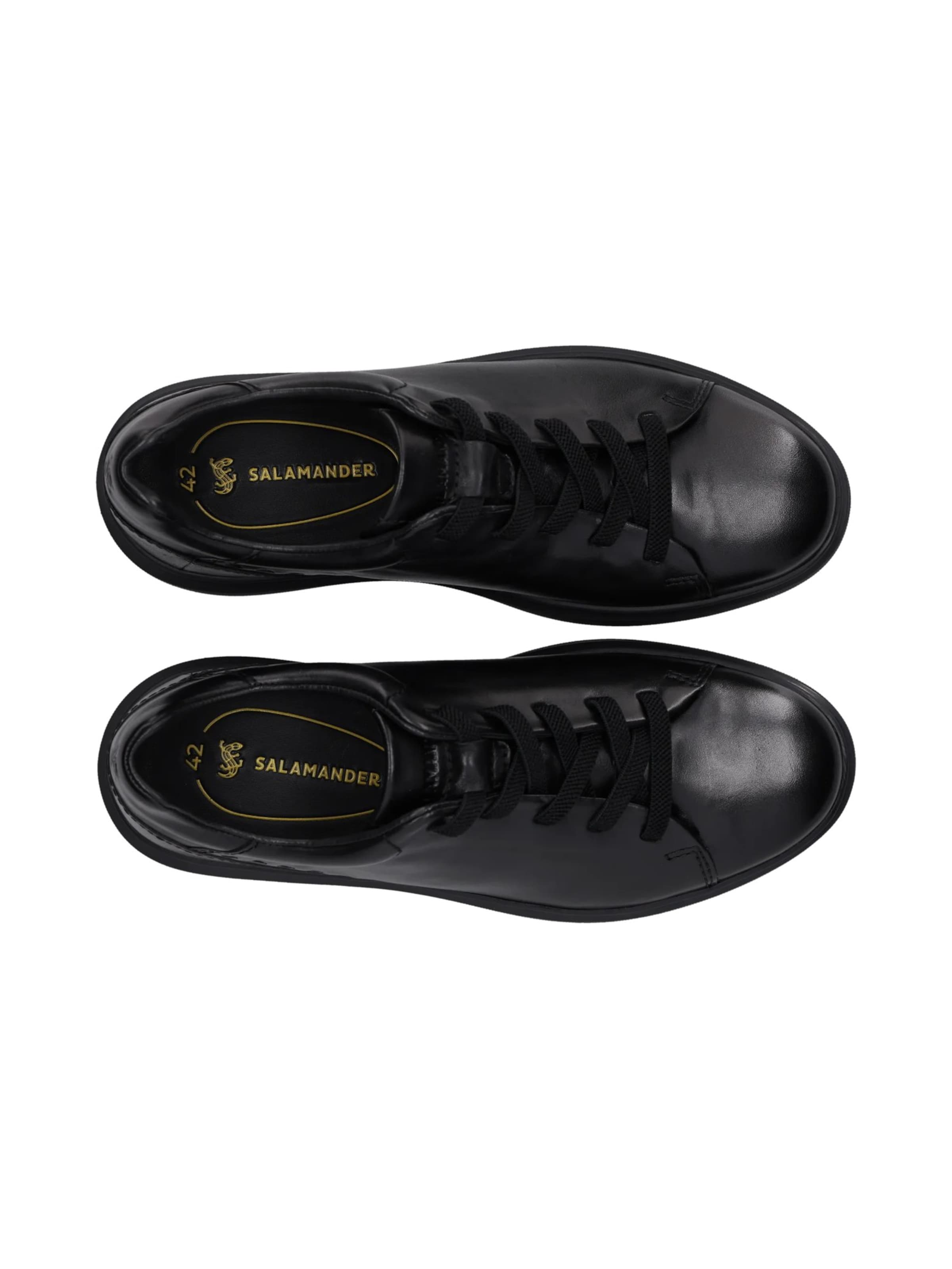 SALAMANDER Platform trainers in Black