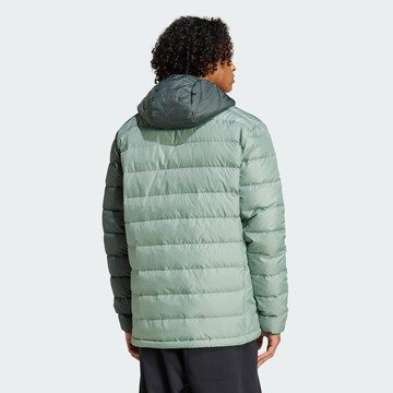 Veste outdoor ADIDAS TERREX en vert