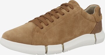 GEOX Sneakers 'Adacter' in Brown: front