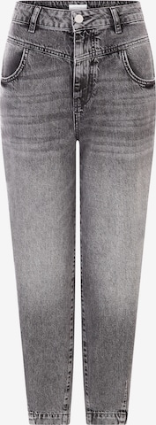 Rich & Royalregular Traperice - siva boja: prednji dio