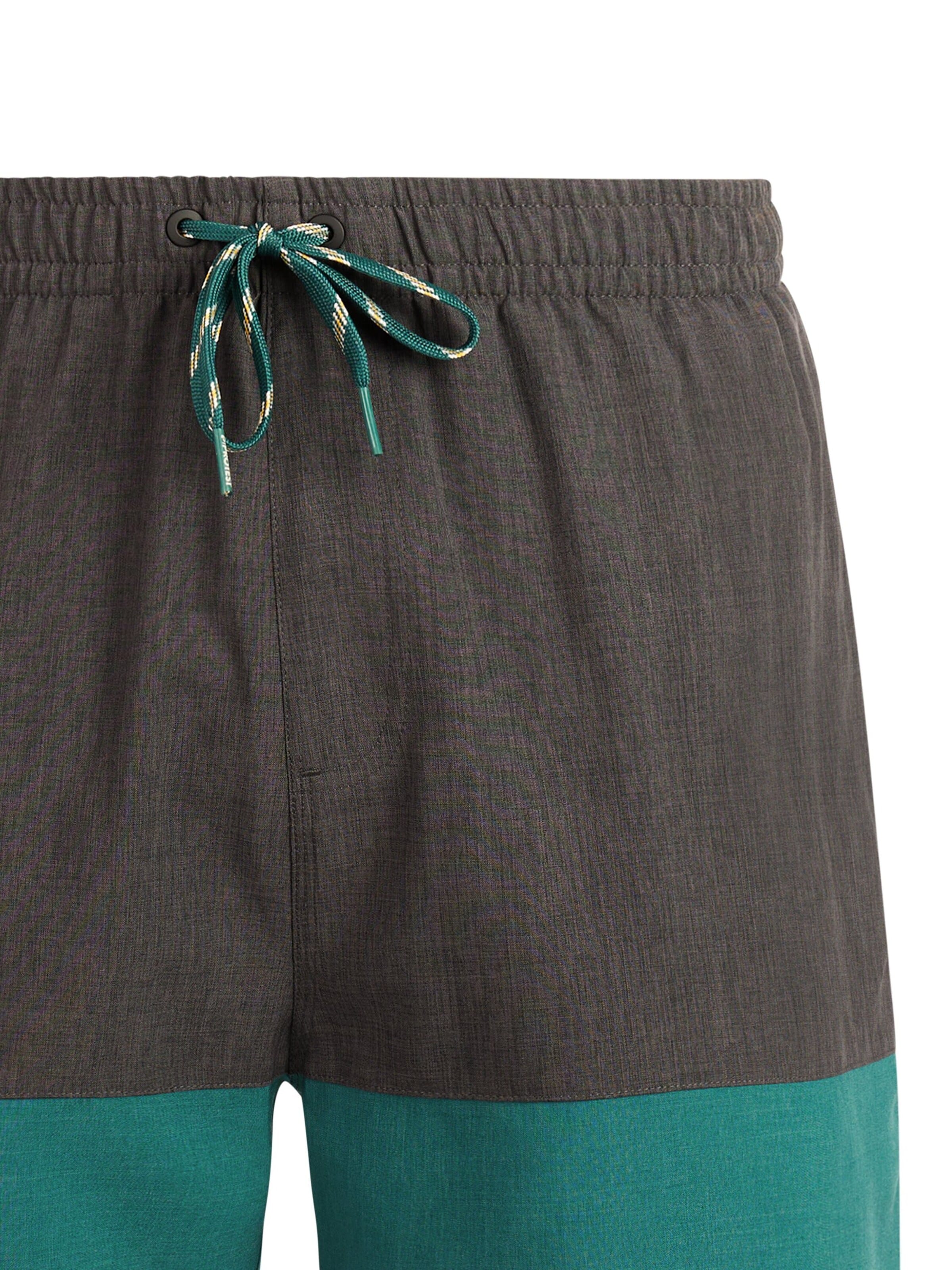 PROTEST Board Shorts 'Cabus' in Green