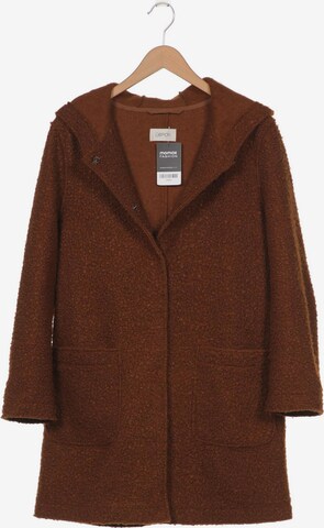 Cartoon Jacket & Coat in L in Brown: front