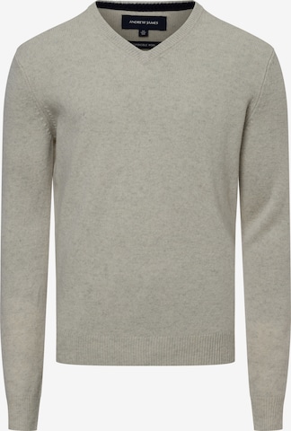 Andrew James Sweater 'Andrew James' in Beige: front