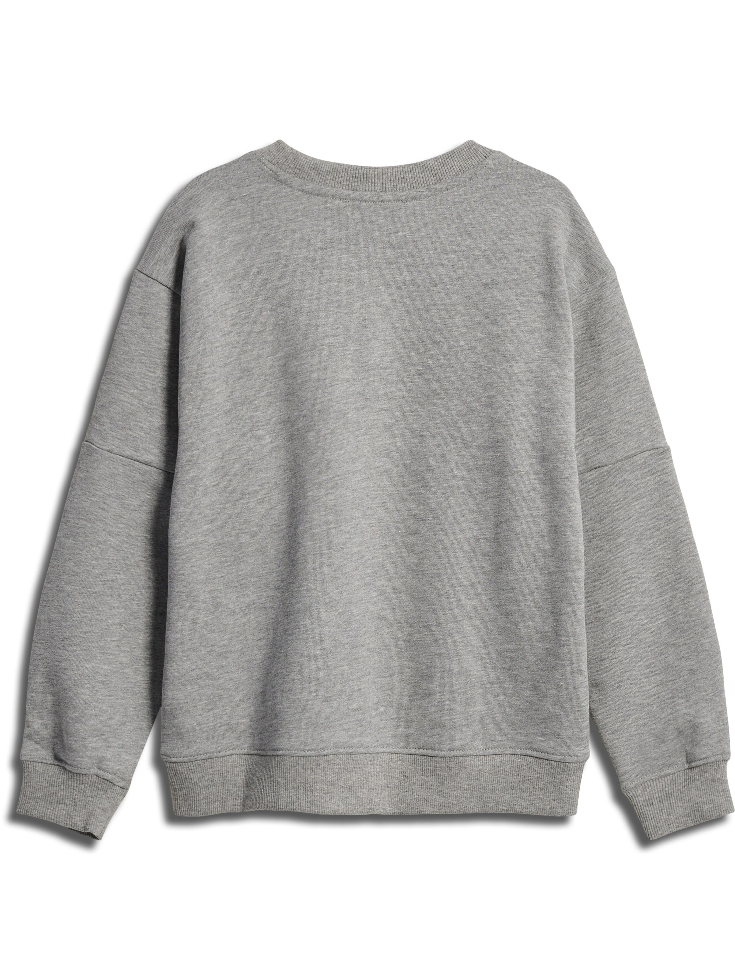 SOMETIME SOON Sweatshirt i grå