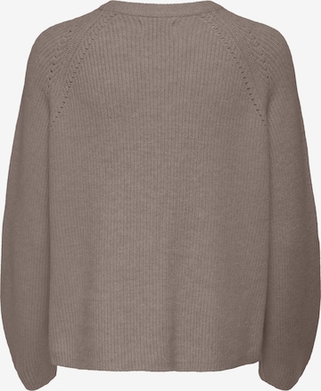 Pull-over 'FIA' ONLY en marron