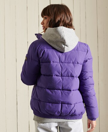 Veste mi-saison Superdry en violet