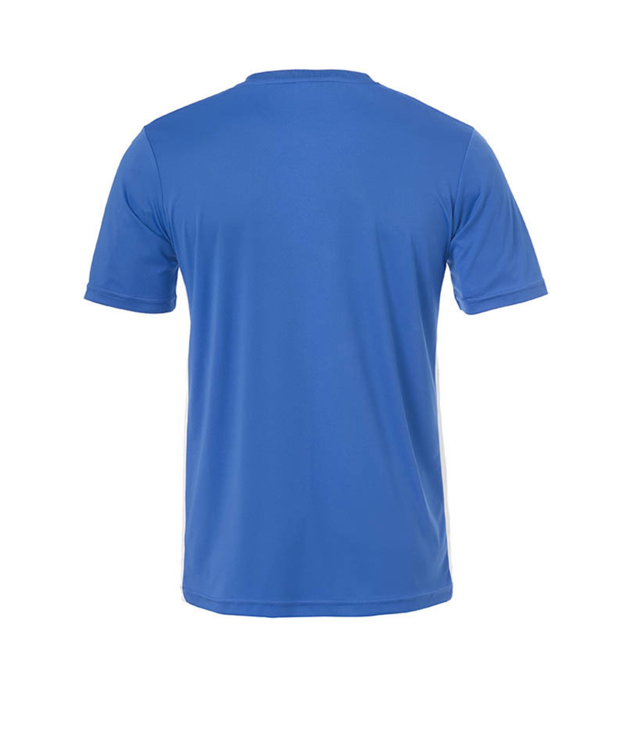 UHLSPORT Jersey 'Team Essential' in Blue