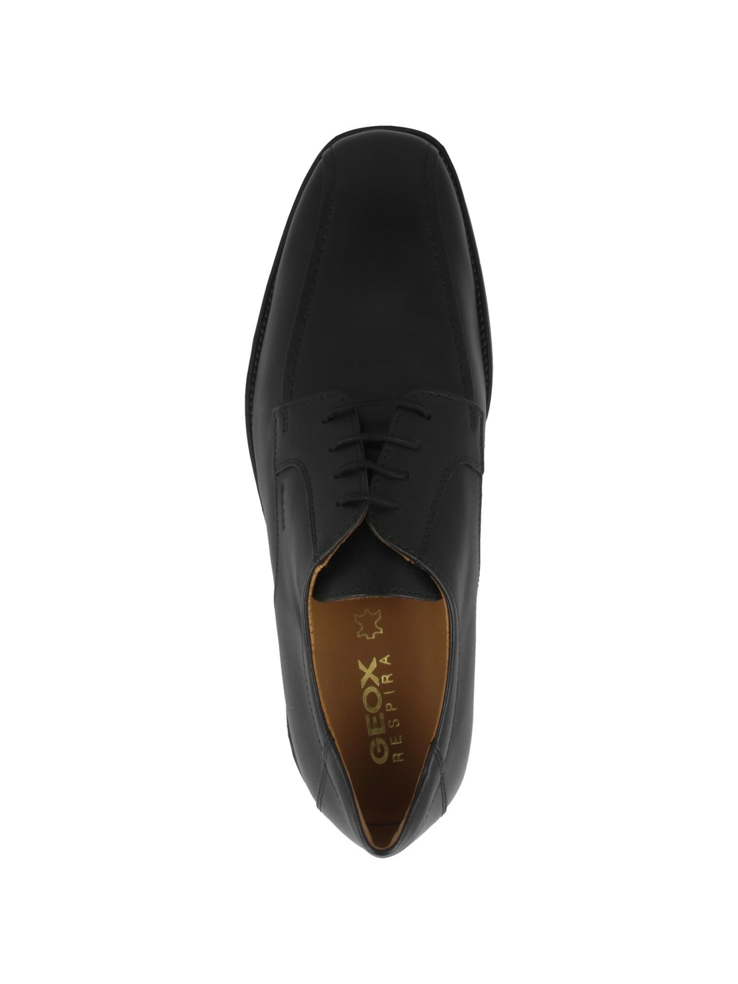 GEOX Knytsko 'Federico' i svart