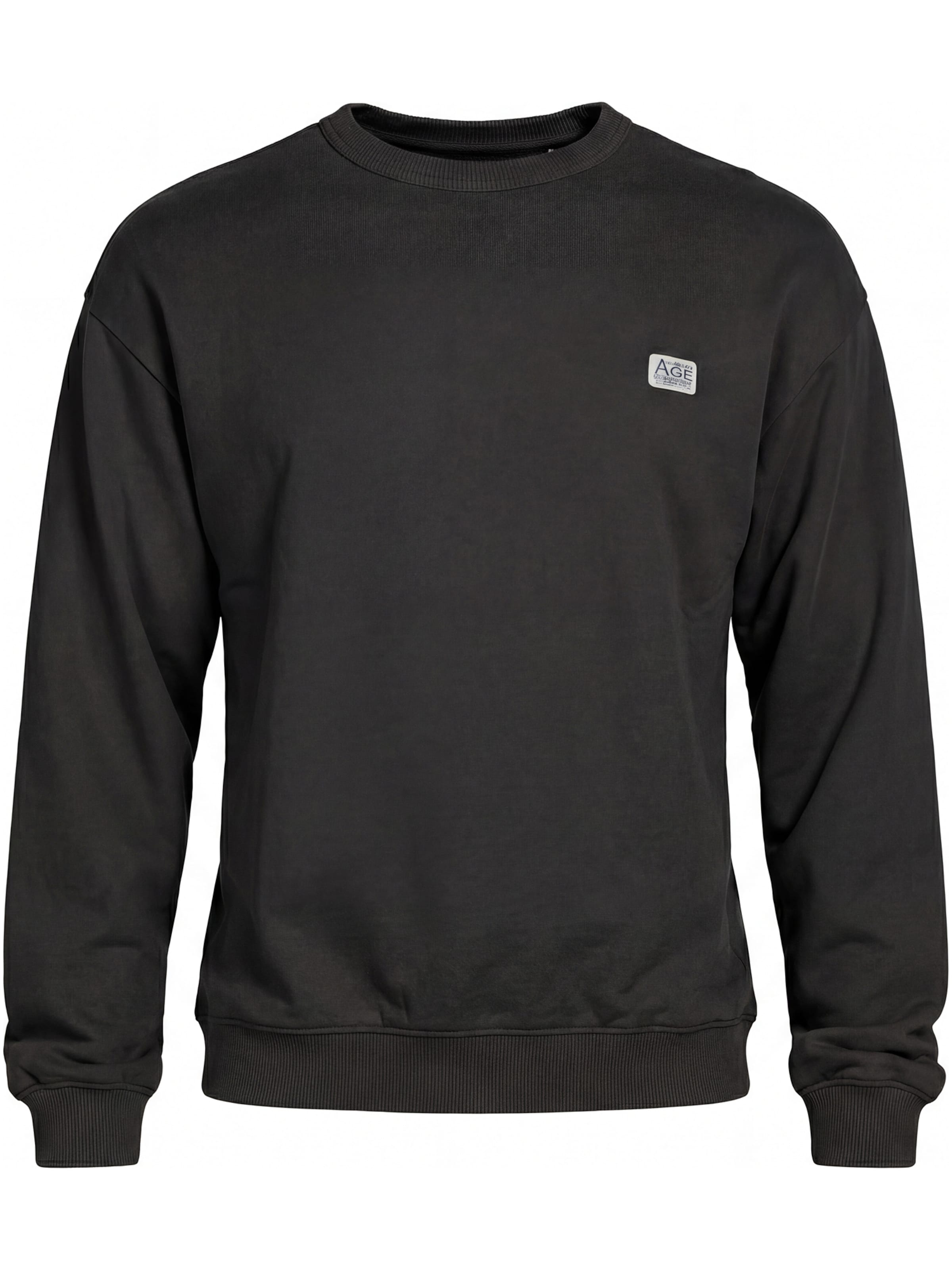 Carrera Jeans Sweatshirt 'Replica Boxy'‌‌‌‌‌‌‌‌‌ in Grau: Vorderseite