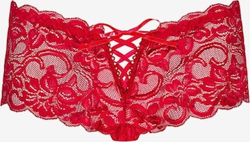 Obsessive Boyshorts 'Bloom Shorts' in Red: front