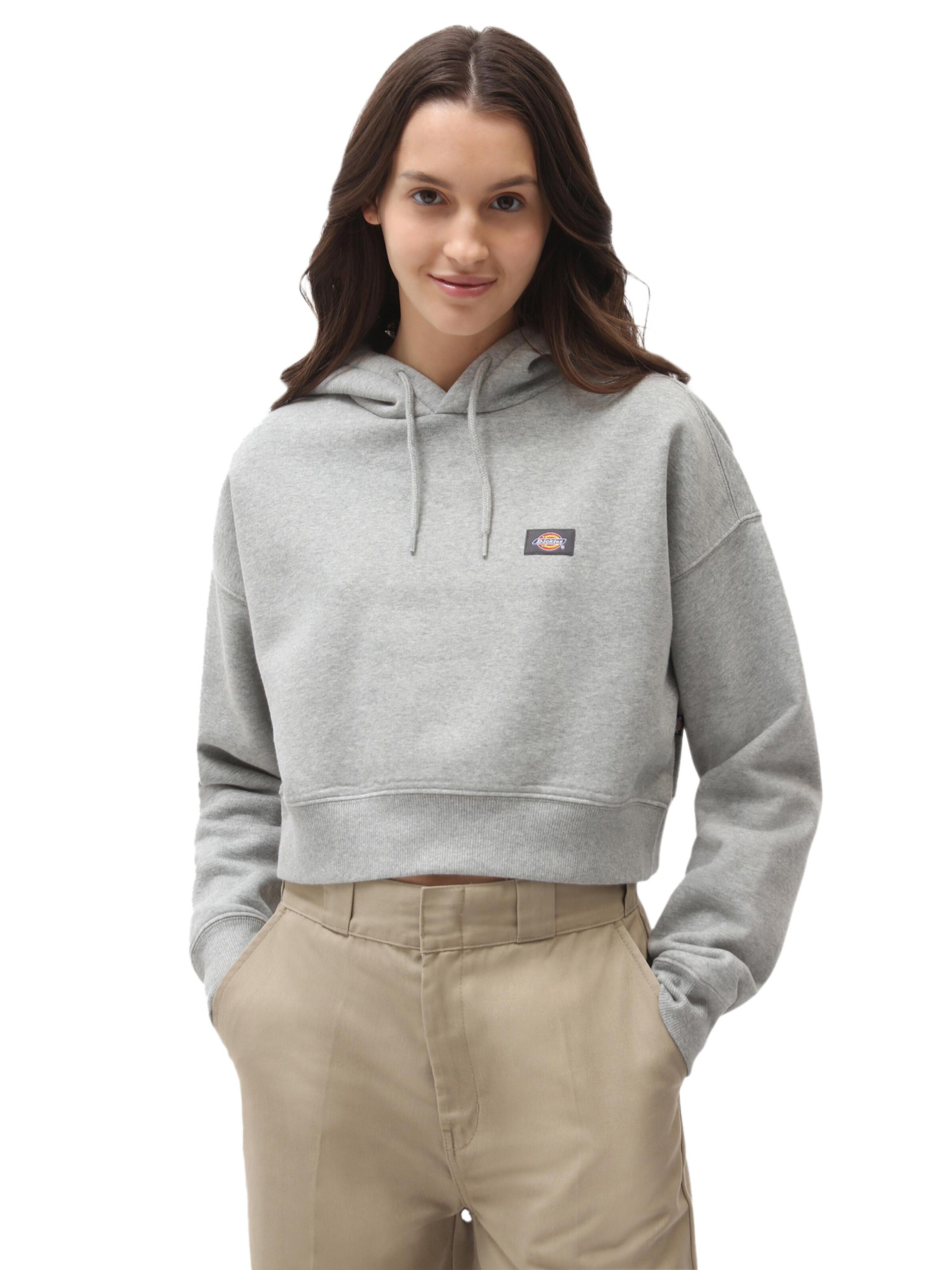 DICKIES Sweatshirt 'OAKPORT' in Grau: Vorderseite