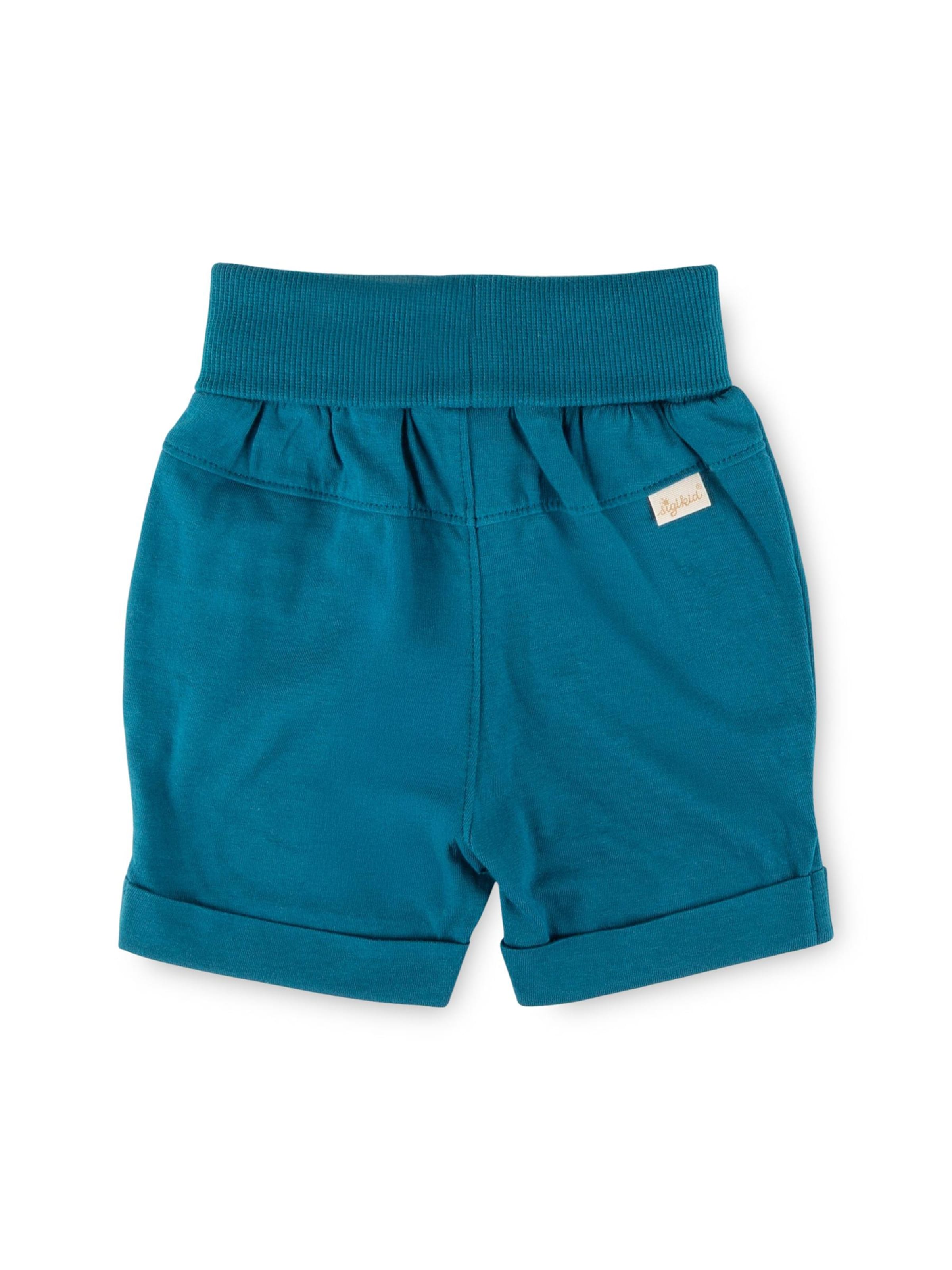 SIGIKID Regular Pants 'Bermuda Blue & Bright' in Green