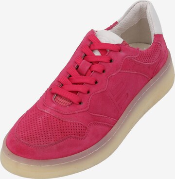 TT. BAGATT Lace-Up Shoes 'Sting' in Pink