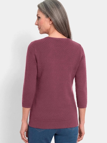 Goldner Pullover in Lila