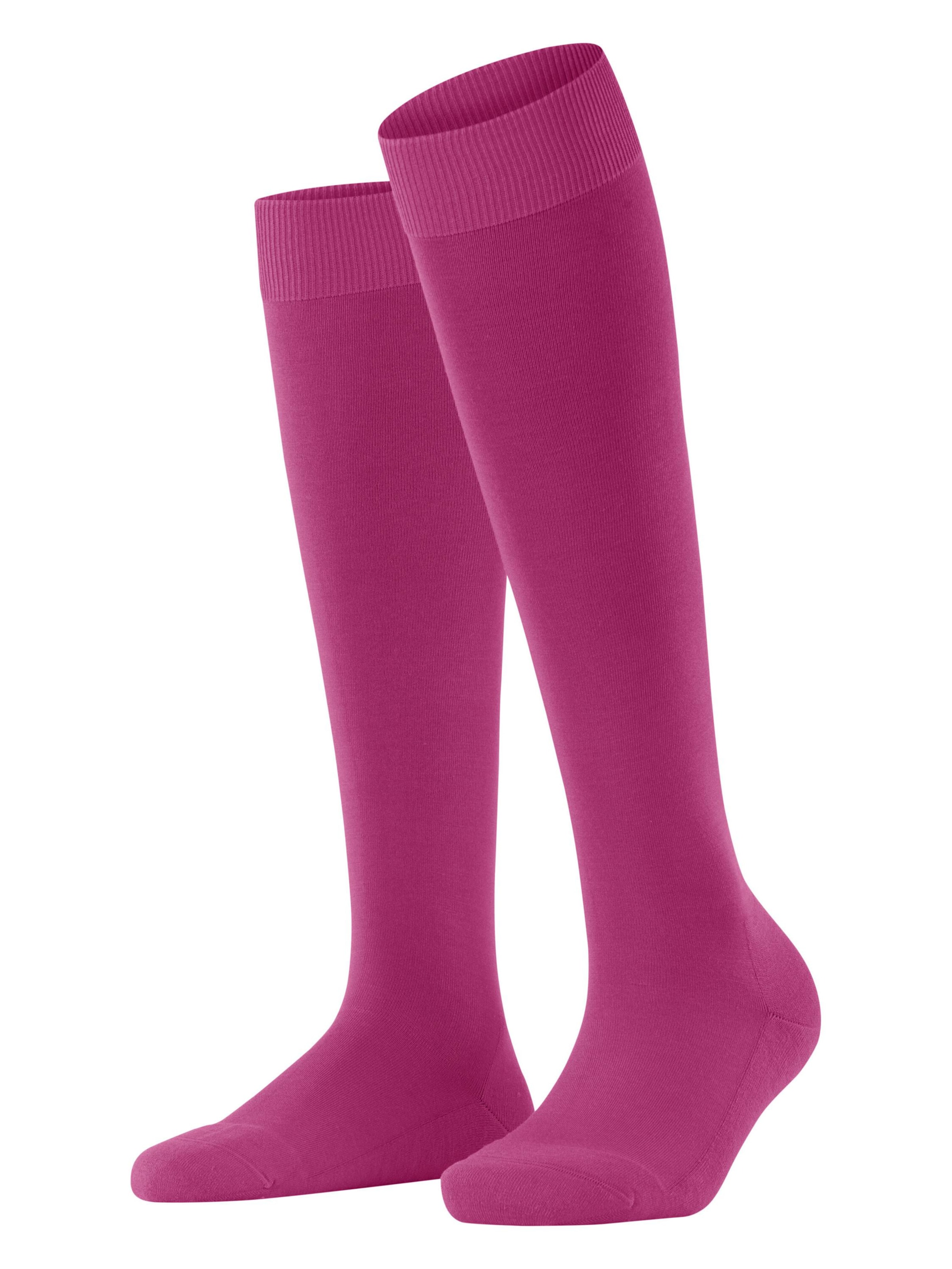 FALKE Knee High Socks 'ClimaWool' in Purple: front