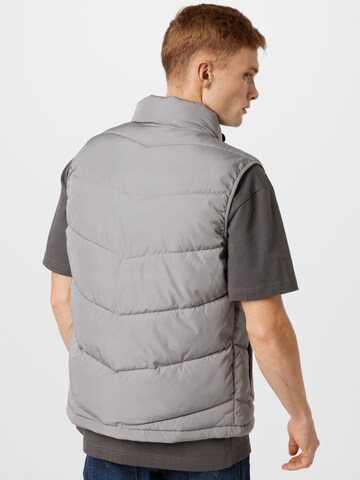 Gilet HOLLISTER en gris