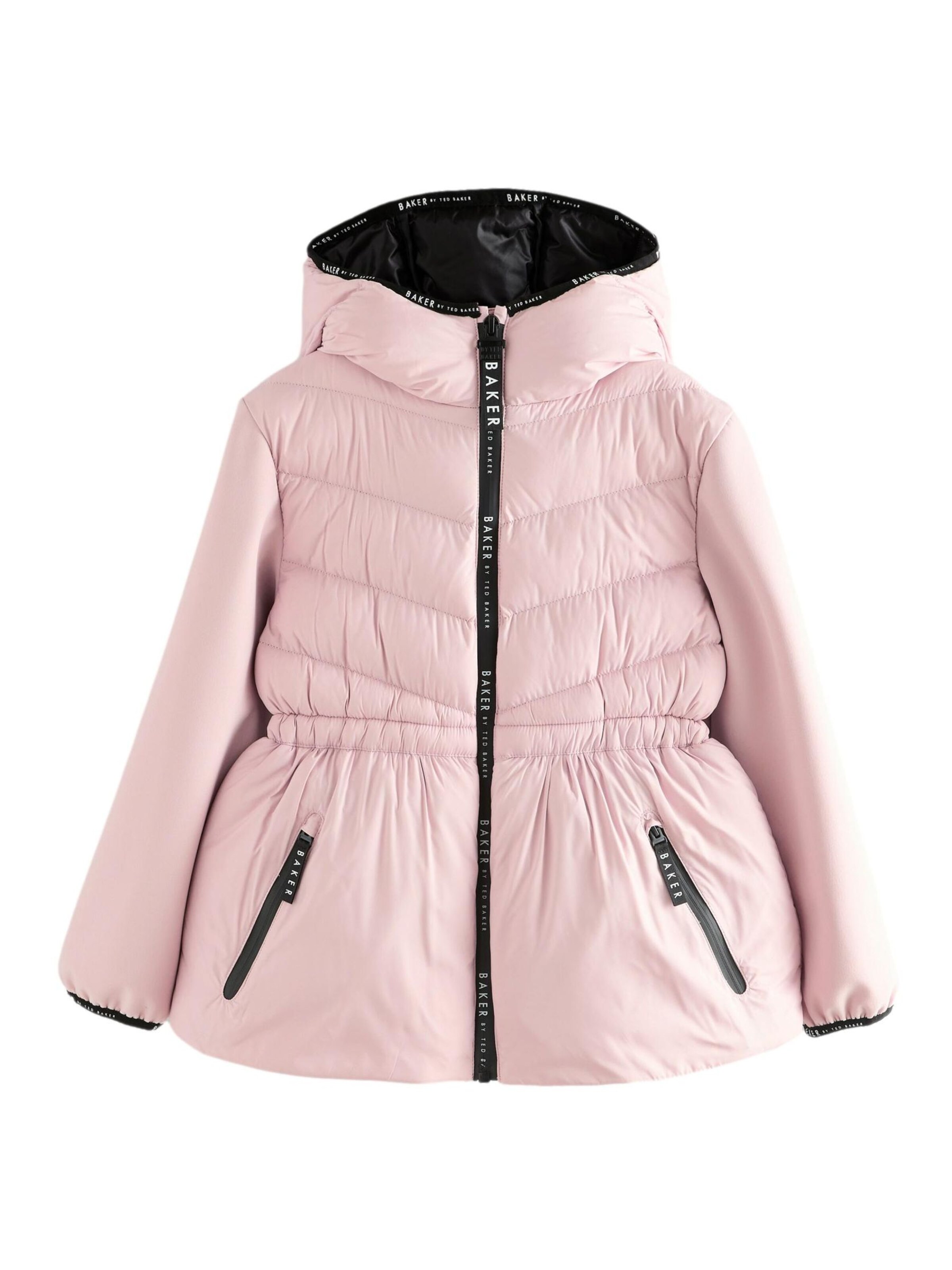 Baker by Ted Baker Winter jacket in Purple: front