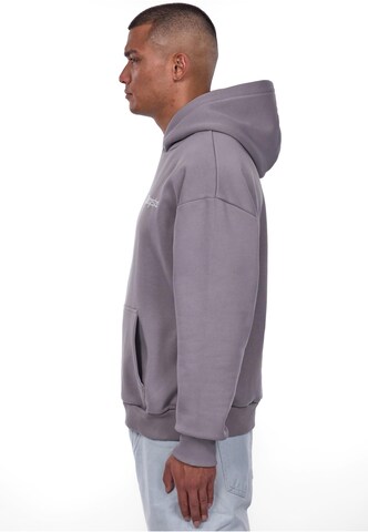 Dropsize Sweatshirt 'Embo' i grå