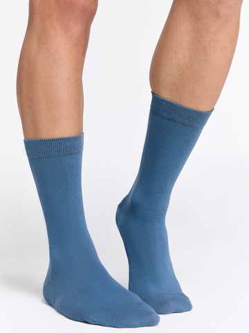Albero Natur Socks 'Classic' in Blue