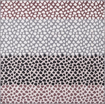 CODELLO Tuch in Mischfarben: Vorderseite