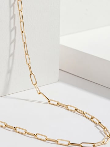 Kamiko Ketting 'MAIA - Ankerkette' in Goud