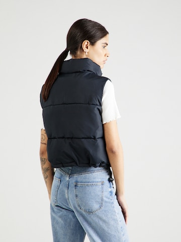 HOLLISTER Bodywarmer in Zwart