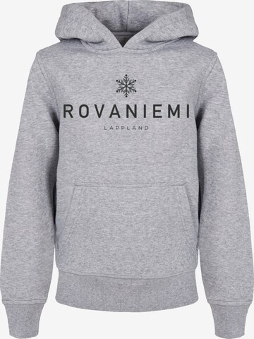 F4NT4STIC Sweatshirt in Grey: front