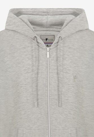 DENIM CULTURE Zip-Up Hoodie 'PEDRO' in Grey