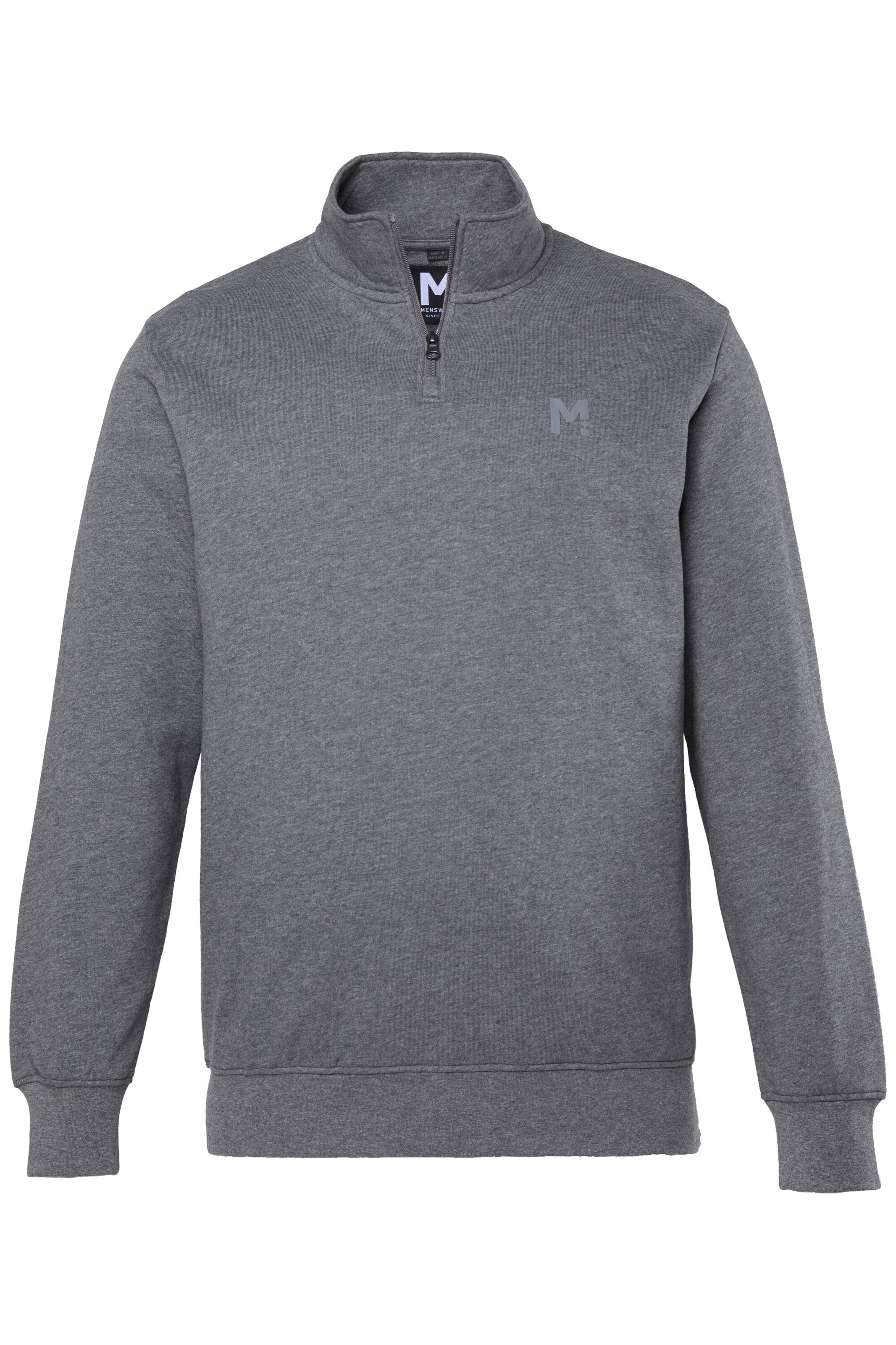 Men Plus Sweatshirt in Grau: Vorderseite