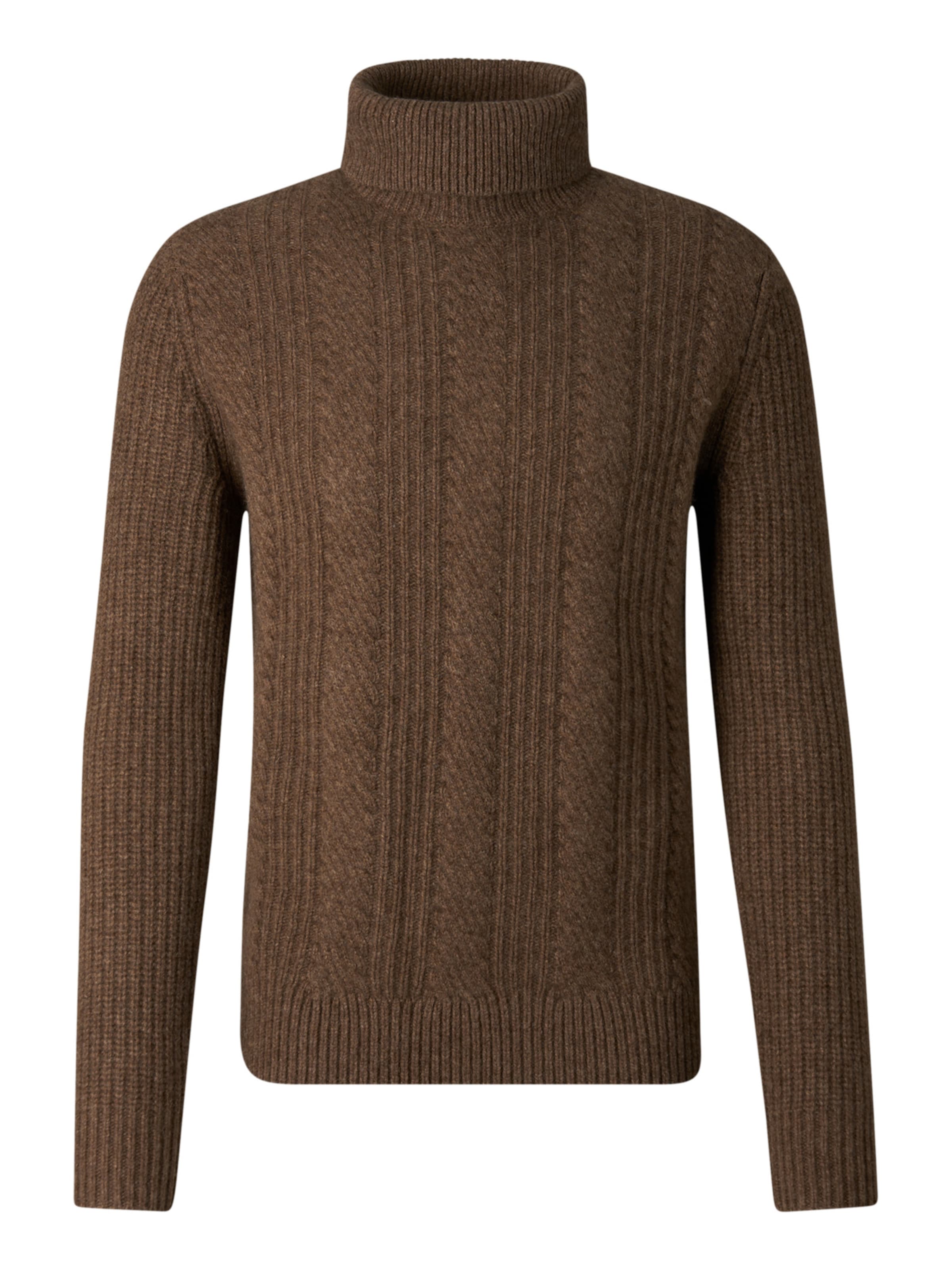 BOGNER Sweater 'Eros' in Brown: front