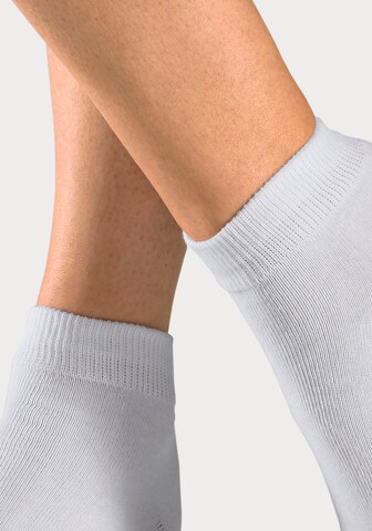 H.I.S Socks in White