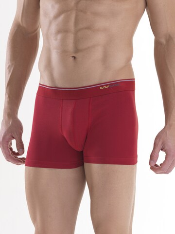 Boxers Blackspade en bleu