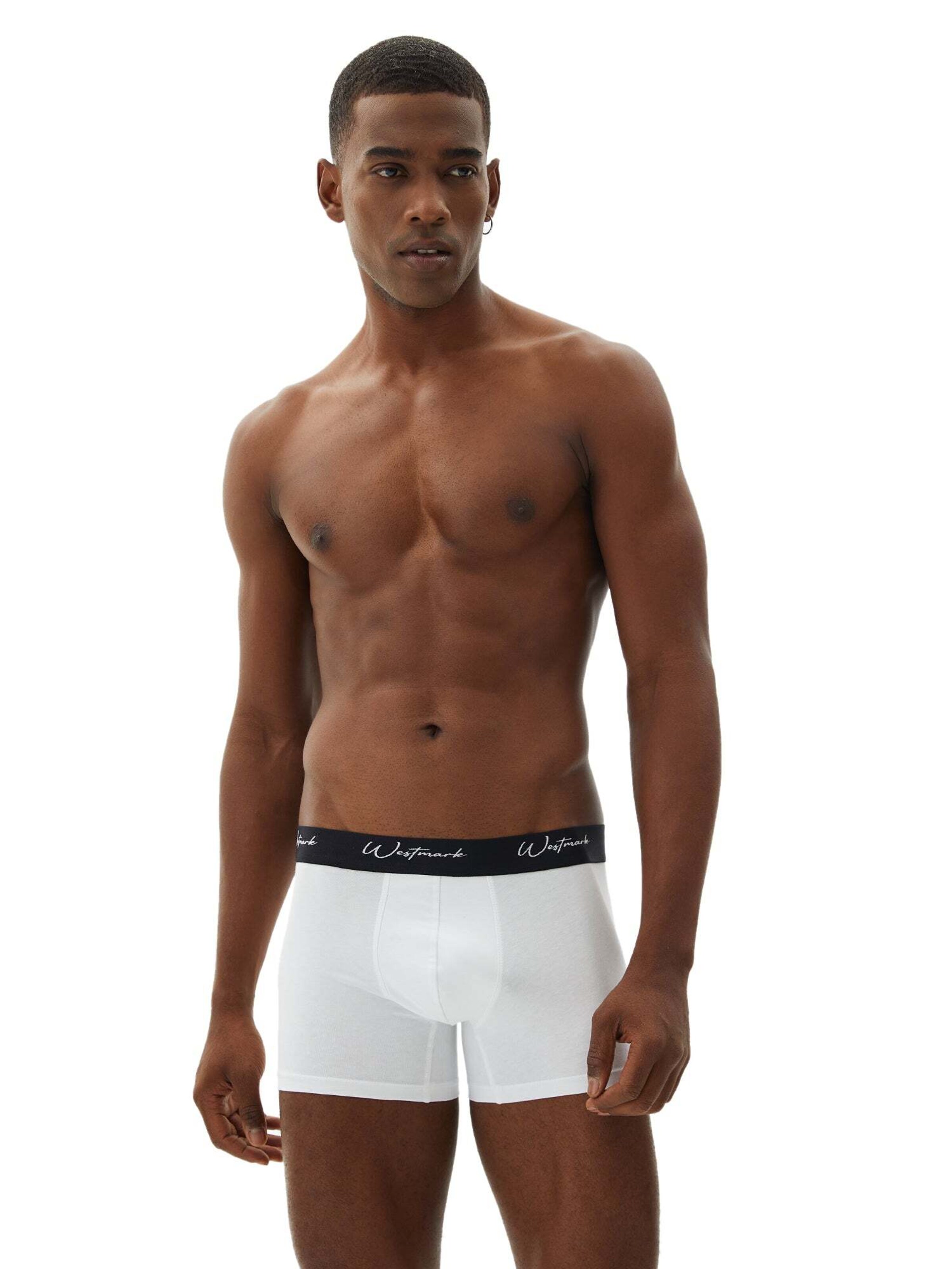 Boxers 'Lucas' WESTMARK LONDON en gris : devant