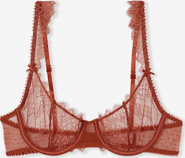 ETAM Balconette BH 'Gamme' in Braun: Vorderseite