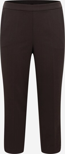 KAFFE CURVE Hose 'Sakira' in dunkelbraun, Produktansicht