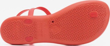 Ipanema Teenslipper 'Artesania' in Rood