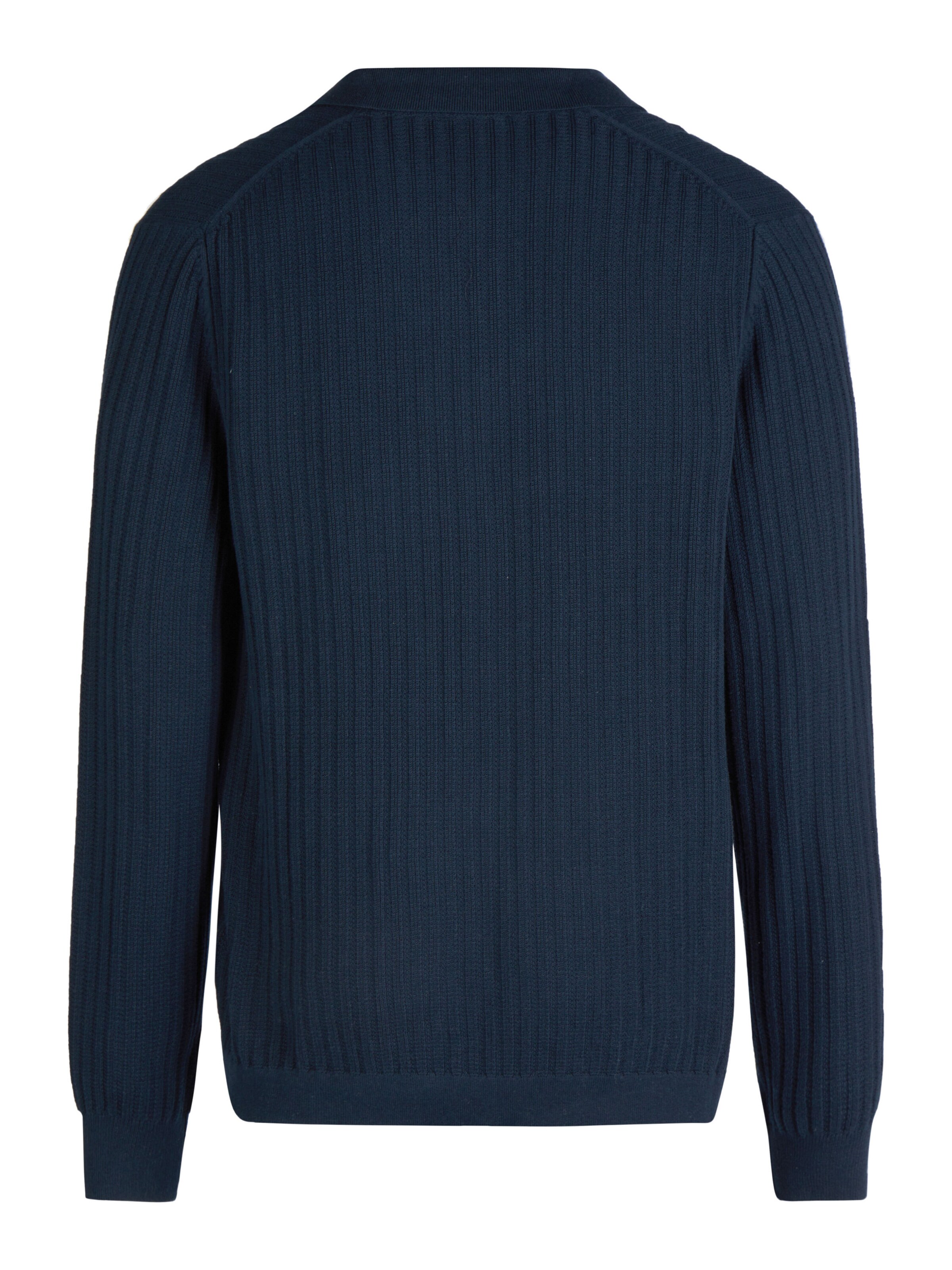 PIERRE CARDIN Trui in Blauw