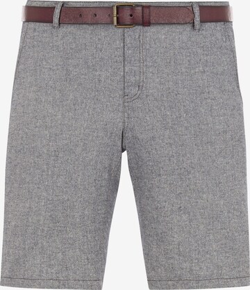 Charles Colby Pants ' Baron Xylon ' in Grey: front