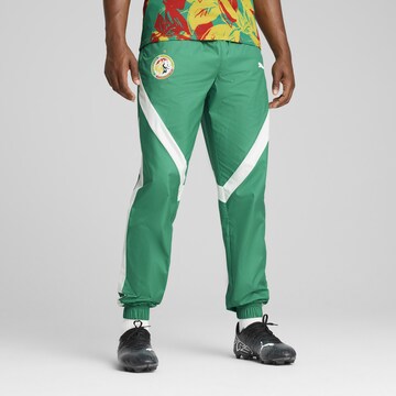 PUMA Regular Sporthose 'Senegal' in Grün