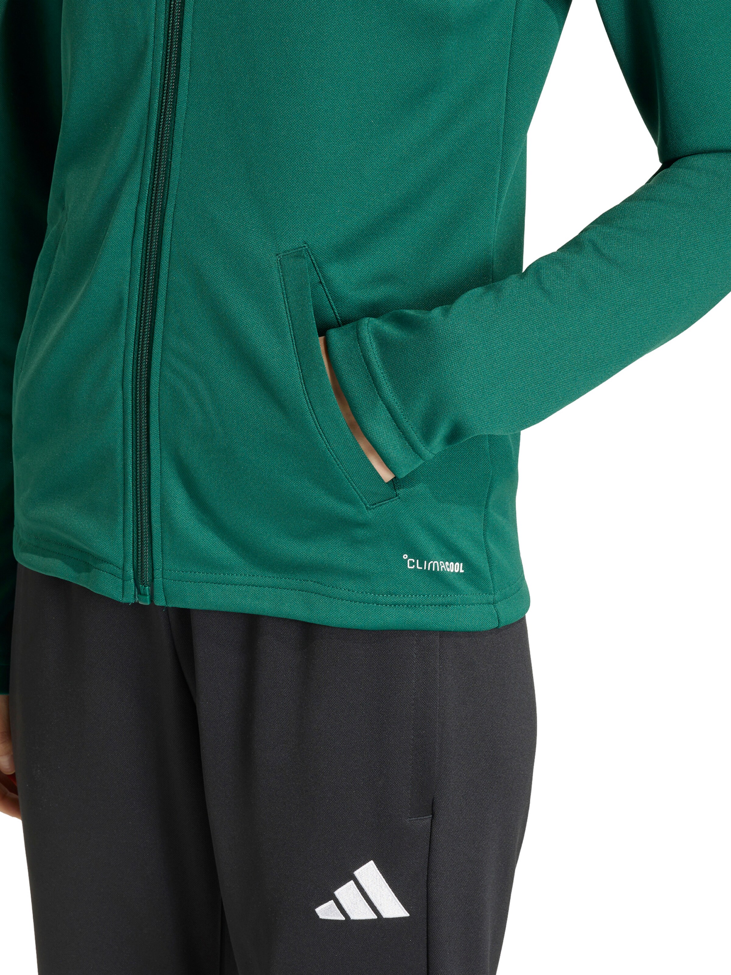 Veste de sport 'Entrada26' ADIDAS PERFORMANCE en vert