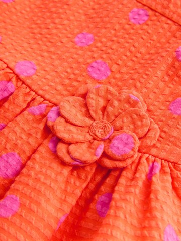 Next Kleid in Orange