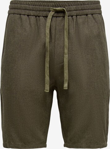 Only & Sons Pants in Green: front