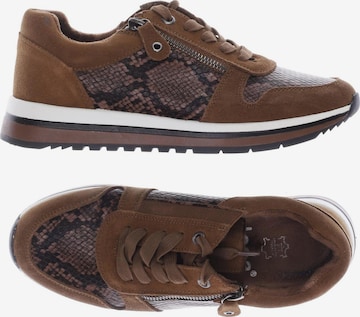 JANA Sneakers & Trainers in 37 in Brown: front