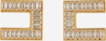 Elisabetta Franchi Earrings in Gold: front