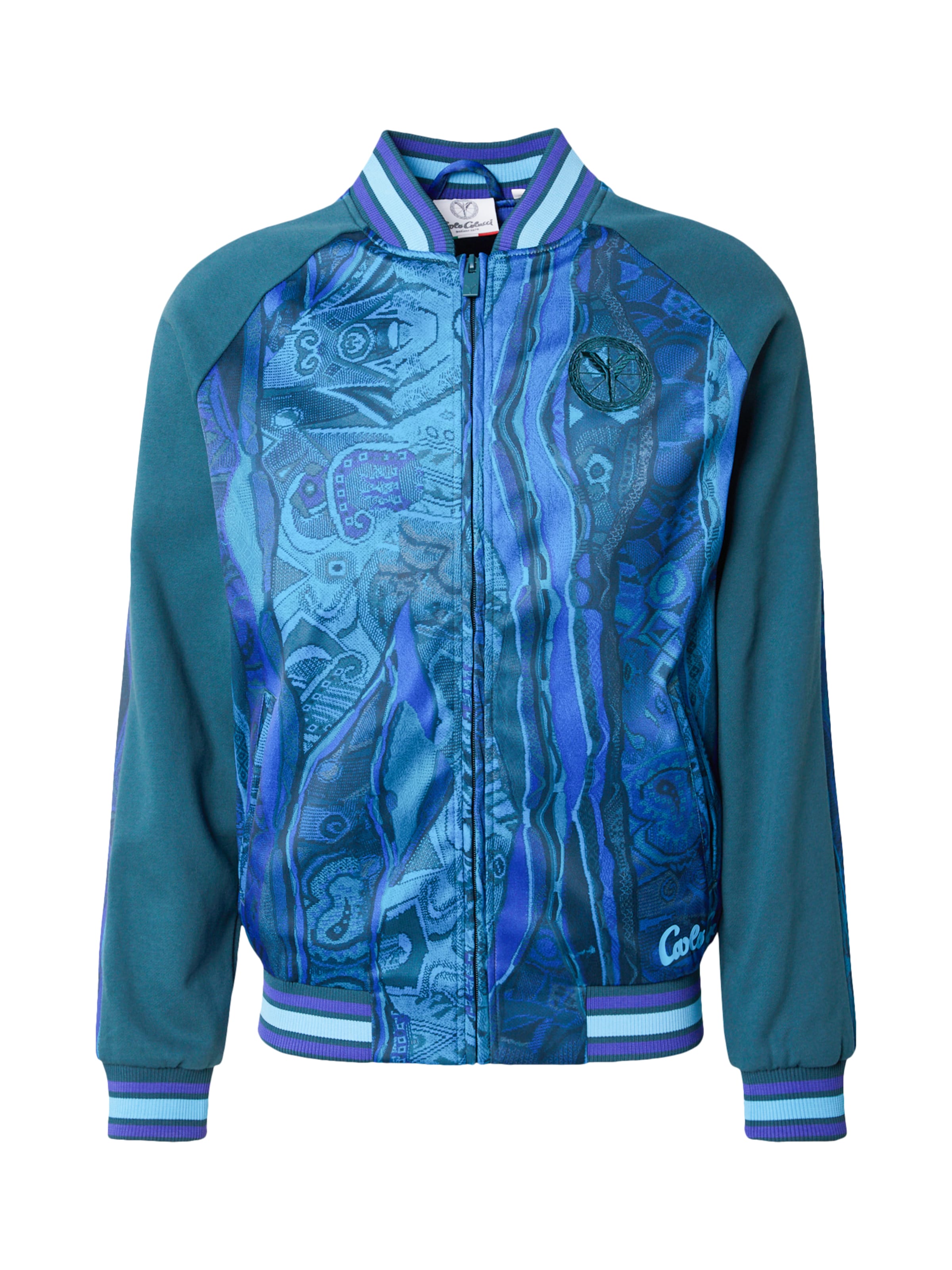 Carlo Colucci Sweatvest 'Espro' in Groen: voorkant